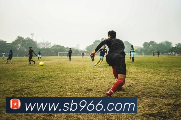 sunbet申博官网服务体系